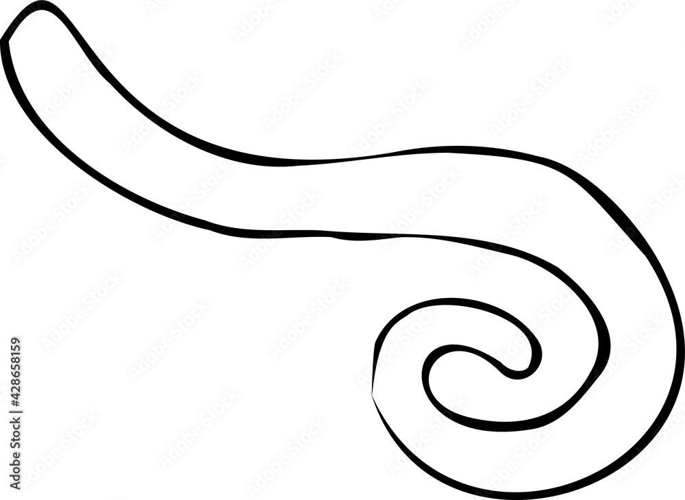 Hand draw black and white spiral. Doodle abstract. Psychedelic art Hand draw black and white spiral. Doodle abstract. Psychedelic art