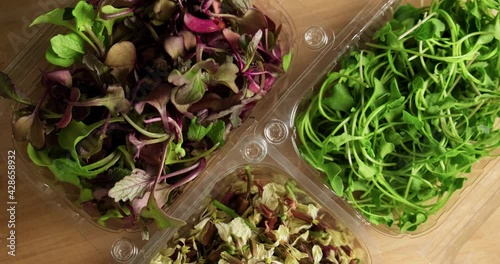 Top view 4K shot of fresh organic microgreens and eatable flowers of arugula, betroot and broccoli in plastic containers. Concept of healthy eating and eatable sprouts.  photo