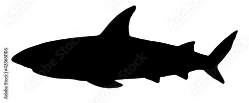 black silhouette of a shark vector drawing. Shark eater. Sketch of a side view of a shark fish. a vector illustration of a shark drawn by hand in the style of a sketch of an element isolated for your 