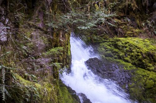 waterfall in the forest