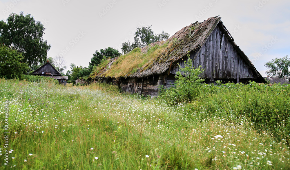 Eastern Europe, Republic of Belarus, Kachanovichi village, Pinsk district, Brest region. Eastern Europe, Republic of Belarus, Kachanovichi village, Pinsk district, Brest region.
