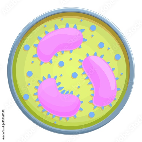 Petri dish experiment icon. Cartoon of Petri dish experiment vector icon for web design isolated on white background