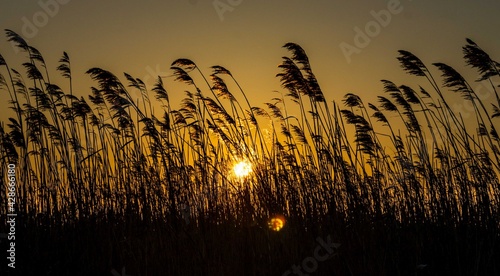 Obraz na płótnie Sunset w salonie