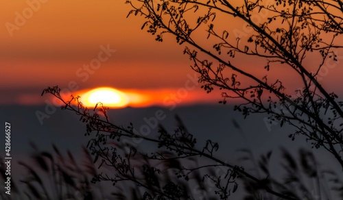 Obraz na płótnie Sunset w salonie