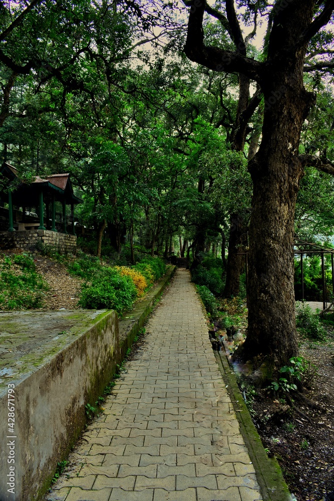 Path in the park.