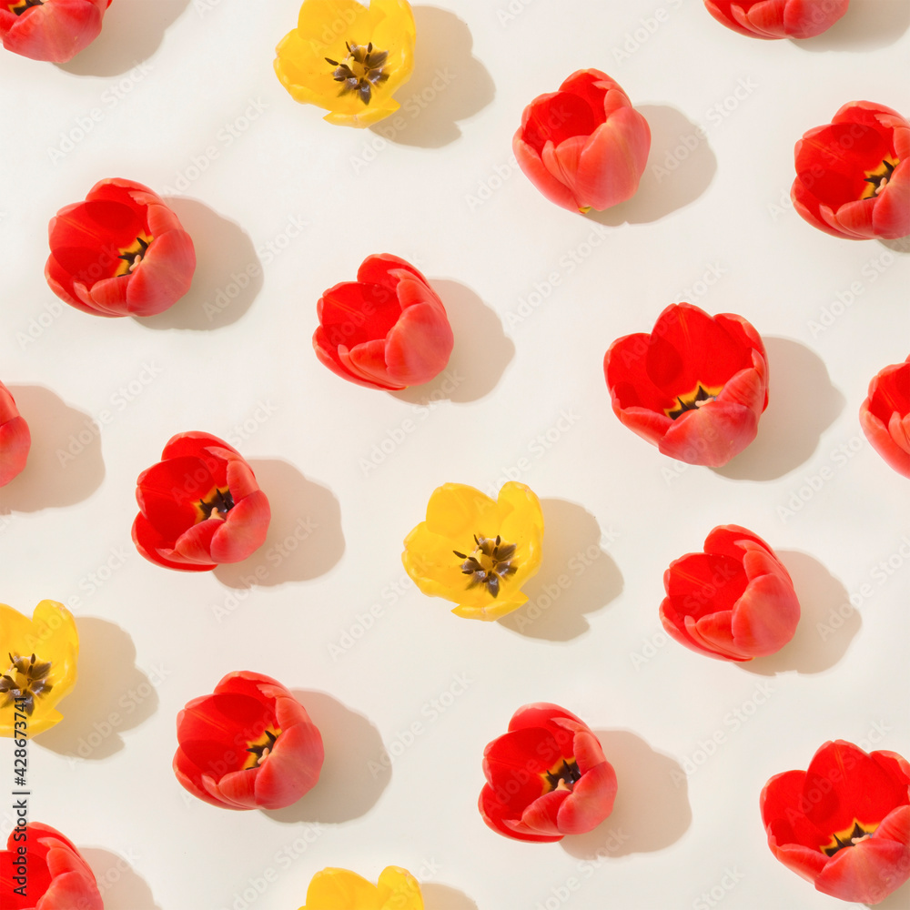 Spring pattern with red and yellow tulips. Bunch of natural plants on white background. Colorful flat lay. Spring pattern with red and yellow tulips. Bunch of natural plants on white background. Colorful flat lay.