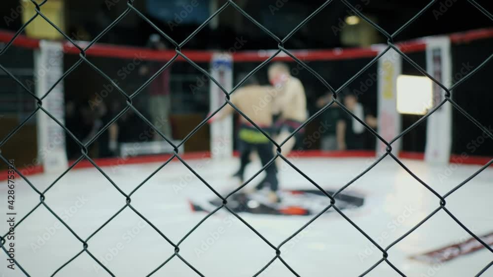 Blurred fighters fight in the octagon, knockout and win, mixed martial arts competition tournament in cage