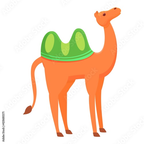 Fototapeta Naklejka Na Ścianę i Meble -  Alive camel icon. Cartoon of Alive camel vector icon for web design isolated on white background