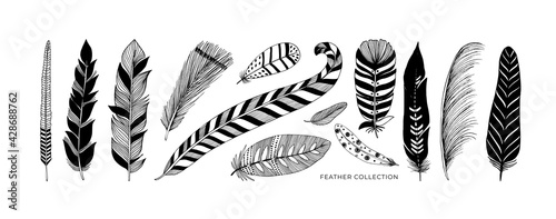 Rustic decorative feathers vector collection. Hand drawn black tribal bird feathers. Ink illustration isolated on white background. Ethnic boho style hand drawing. Outlined graphic ornament.