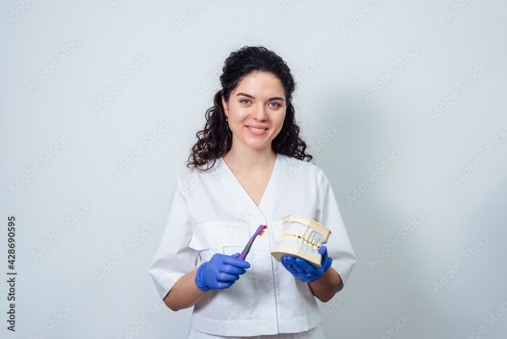 girl dentist holds a volumetric model of teeth and a toothbrush in her hands girl dentist holds a volumetric model of teeth and a toothbrush in her hands