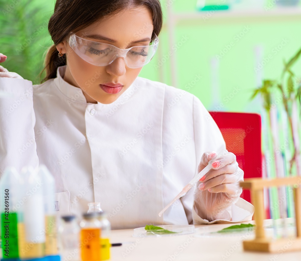 Beautiful female biotechnology scientist chemist working in lab Beautiful female biotechnology scientist chemist working in lab
