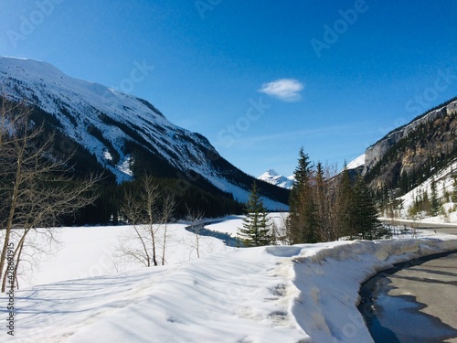 Spectacular view of the Icefield Parkway