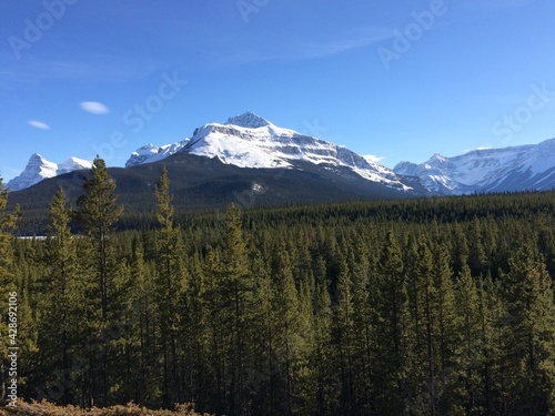 Spectacular view of the Icefield Parkway