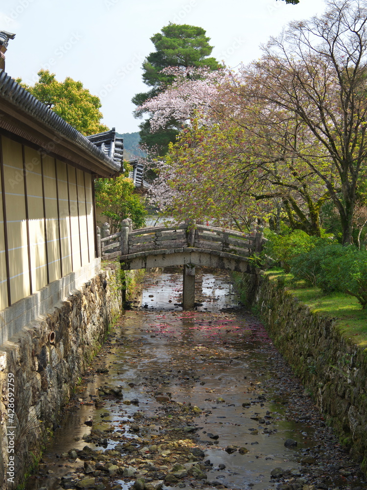 Kyoto,Japan-March 29, 2021: A stone bridge over Arisugawa river in Kyoto
