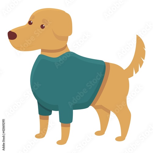 Sweater dog clothes icon. Cartoon of Sweater dog clothes vector icon for web design isolated on white background