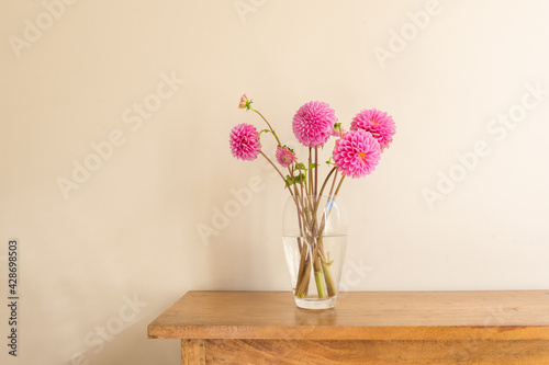 Fototapeta Close up of bright pink dahlias in glass vase on oak side table against beige wa