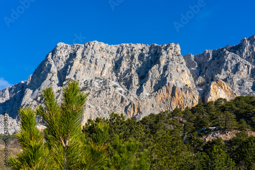 The majestic white mountain range and pine forest at its foot © Sergey + Marina