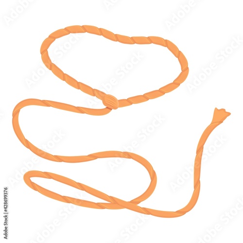 Tool lasso icon. Cartoon of Tool lasso vector icon for web design isolated on white background