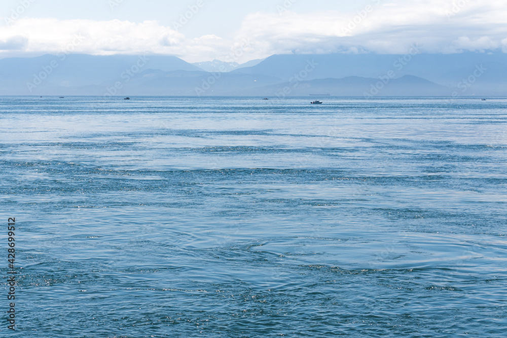 Fototapeta premium Ocean