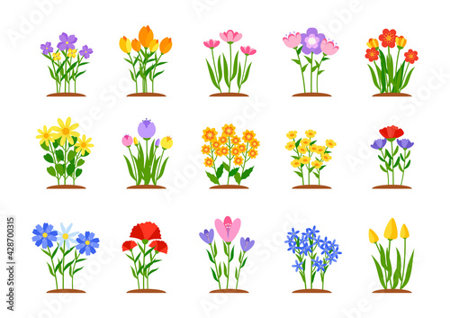 Set of spring garden flowers in flat style. Early garden flower beds with growing colored tulips, daffodils or daisies. Forest nature springtime landscape design element. Isolated vector illustration