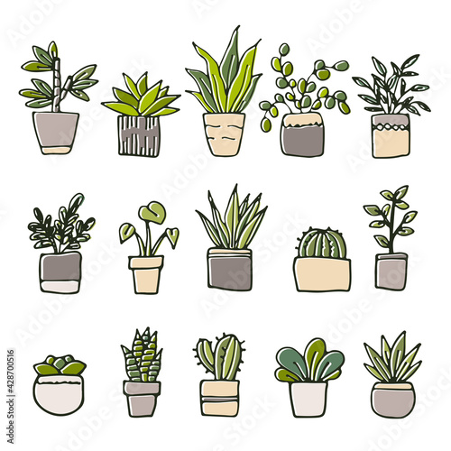 かわいい手描きの観葉植物イラストセット