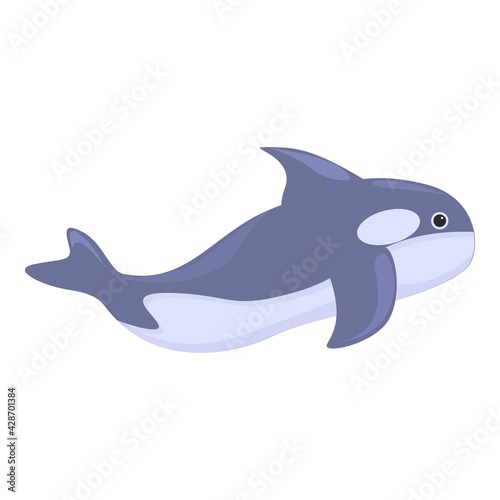 Mammal killer whale icon. Cartoon of Mammal killer whale vector icon for web design isolated on white background