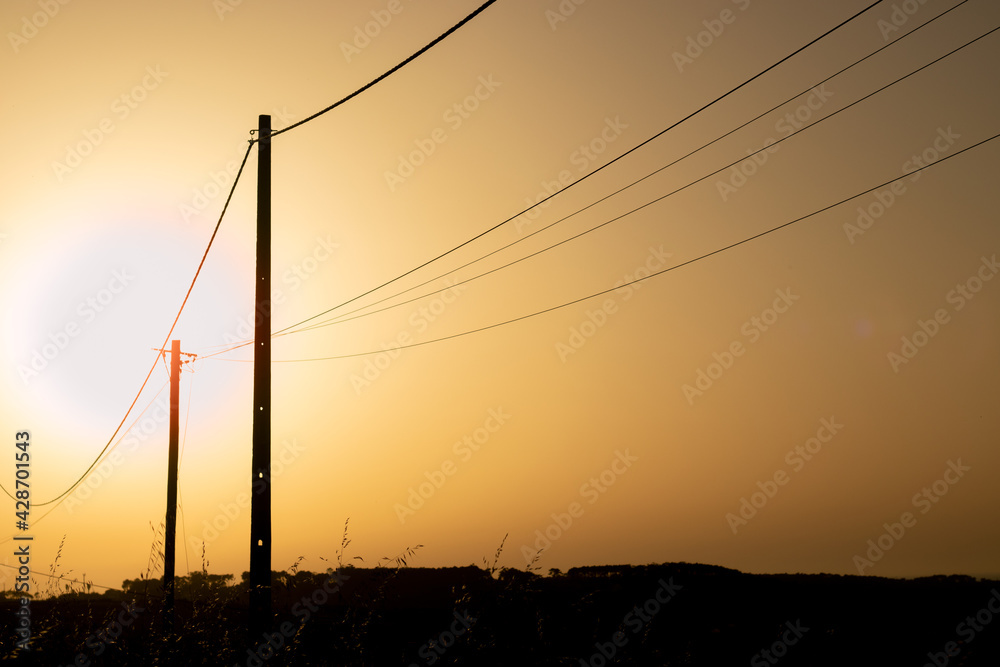 electric poles sunset two