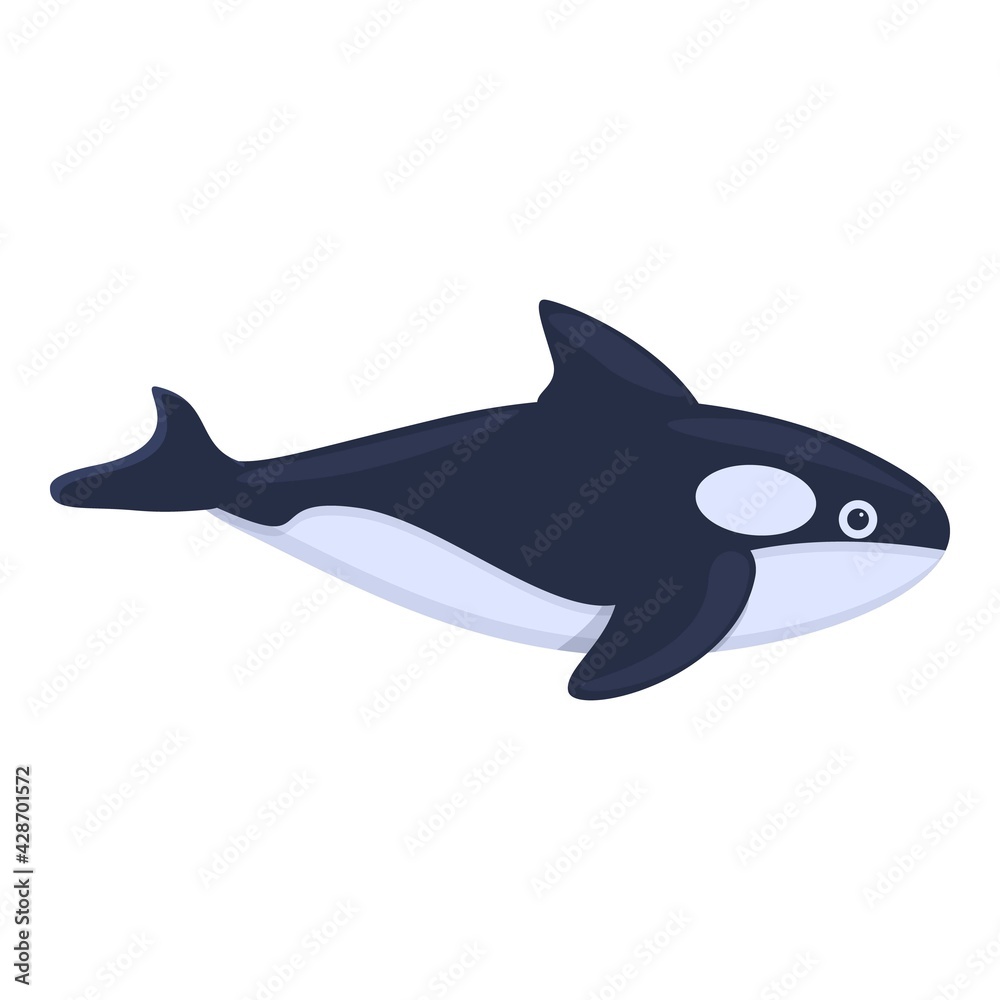 Fototapeta premium Pacific killer whale icon. Cartoon of Pacific killer whale vector icon for web design isolated on white background