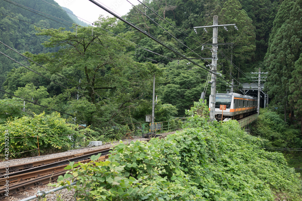 hatonosu station