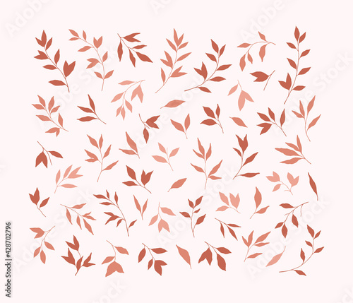 Hand drawn leaves and branches set. Vector botanical illustrations