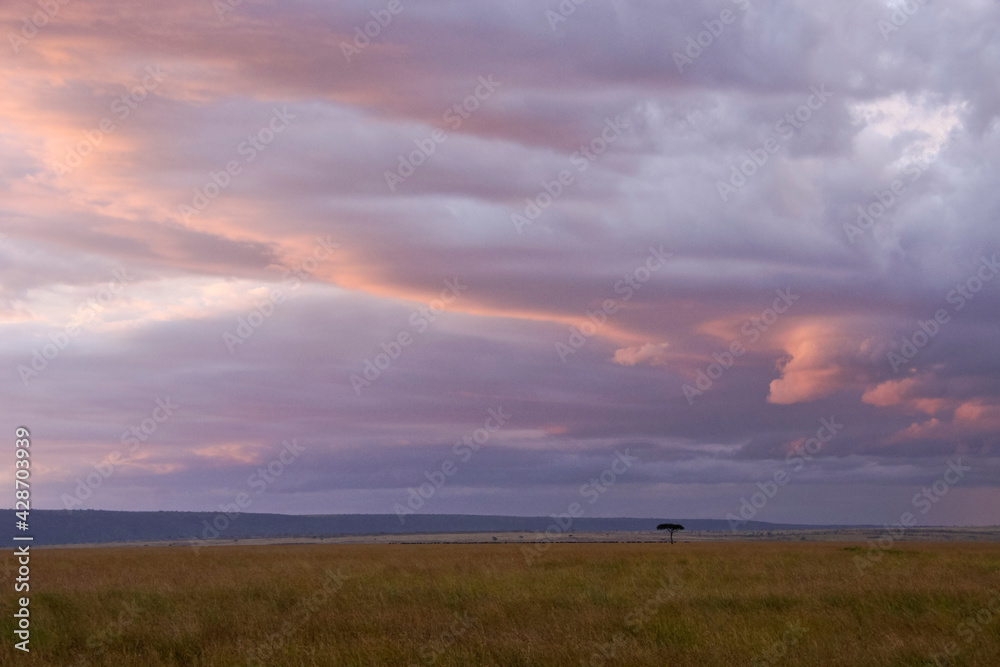 Clouds light up at sunset over the grasslands of Masai Mara Game Reserve, Kenya
