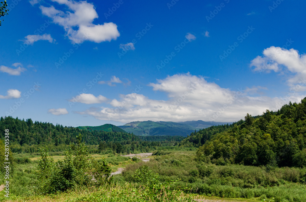 Obraz premium landscape with sky