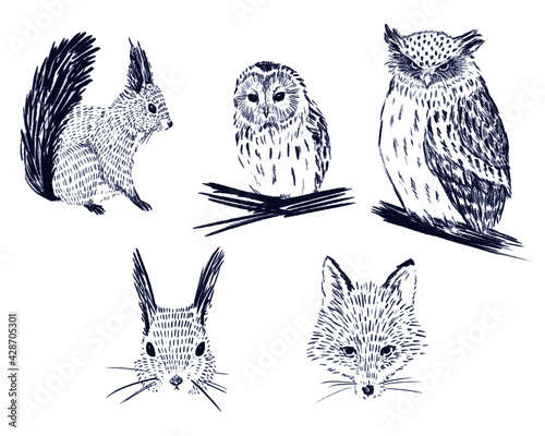 Wallpaper Mural Northern Animals (北海道の動物たち） Torontodigital.ca