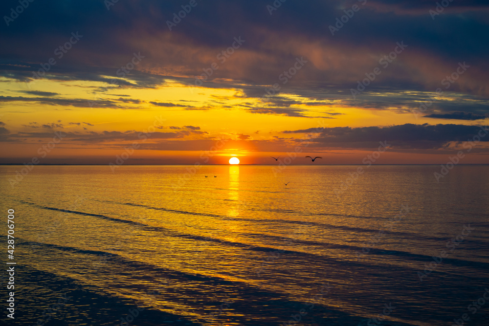 Birds fly low over the water. Seagull on sea. Colorful clouds on sunset, with beautiful reflection on sea water. Evening summer scenery view. Baltic Sea in Jurmala resort, Latvia.