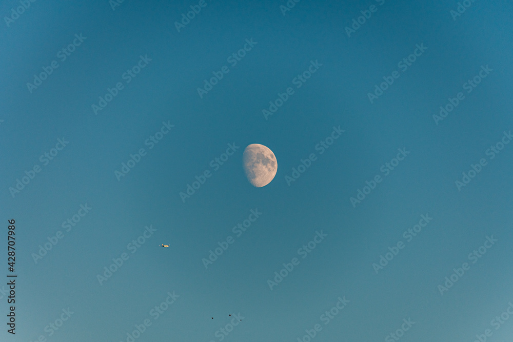 moon moon