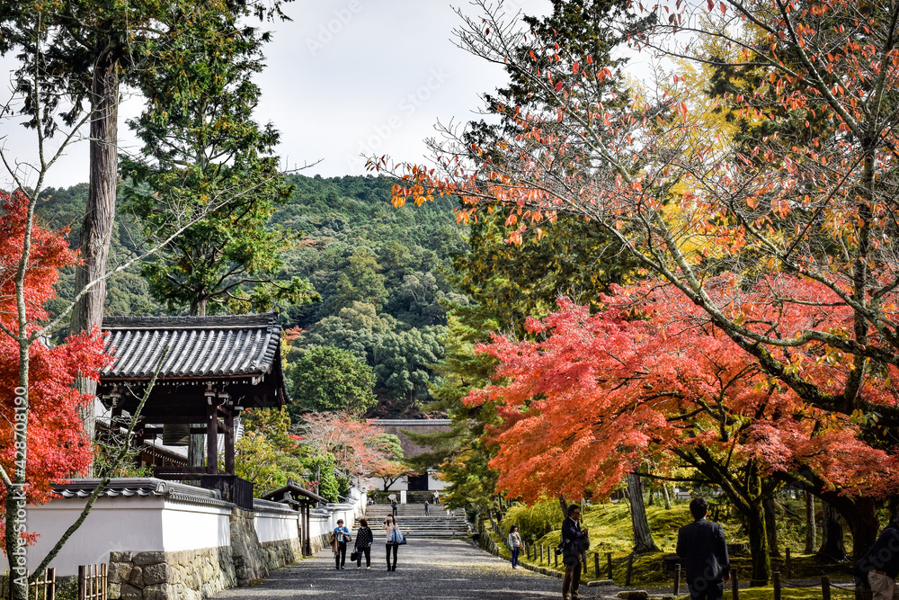 Naklejka premium 京都、蹴上げの紅葉と木造の建物等