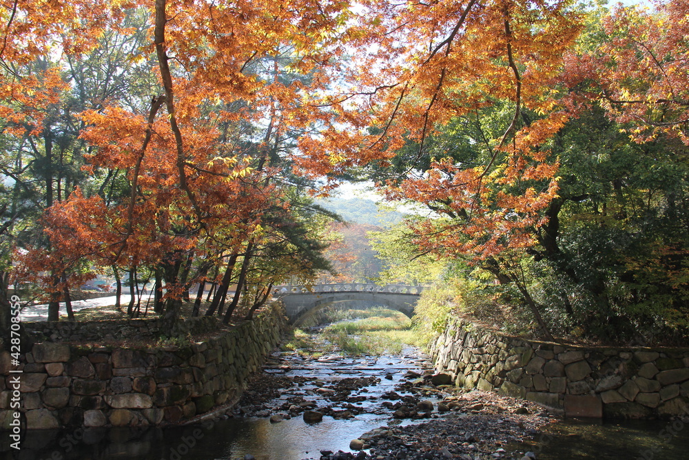 Asian traditional arch bridge in fall  