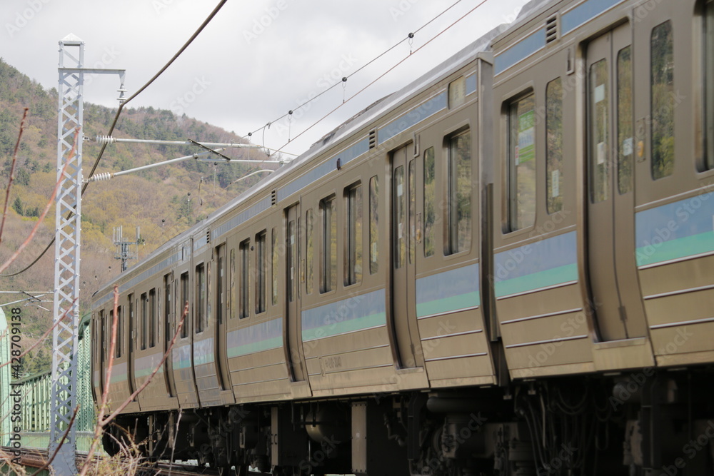 Fototapeta premium 211系電車