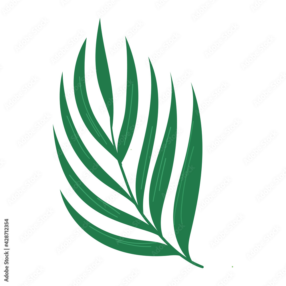 Exotic tropical leaf. Vector hand drawn