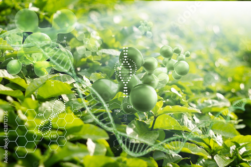 Biology nature and science. Plants with biochemistry structure on green background. dna and molecule. 3D render. © ipopba