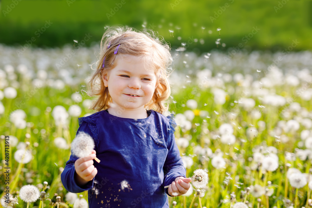 Adorable cute little baby girl blowing on a dandelion flower on the nature in the summer. Happy healthy beautiful toddler child with blowball, having fun. Bright sunset light, active kid. Adorable cute little baby girl blowing on a dandelion flower on the nature in the summer. Happy healthy beautiful toddler child with blowball, having fun. Bright sunset light, active kid.