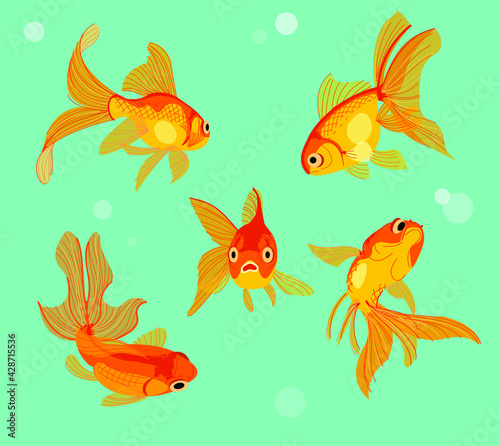 Goldfish in a fish tank. hand drawn style vector design illustrations. 