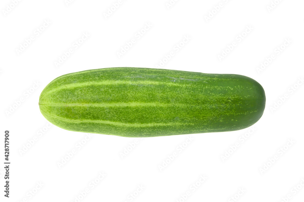 cucumber isolated on white background, clipping path
