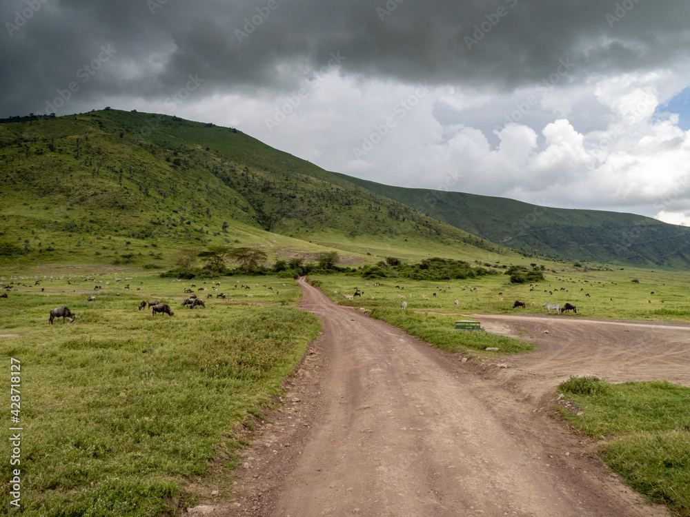 Ngorongoro Crater, Tanzania, Africa - March 1, 2020: Dirt road through Ngorongoro Crater