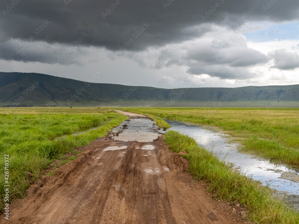 Ngorongoro Crater, Tanzania, Africa - March 1, 2020: Heavy rain moving across ngorongoro crater