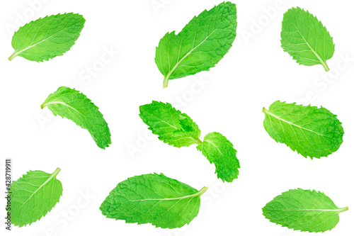 fresh peppermint leaves isolated on white, top view © WIROT