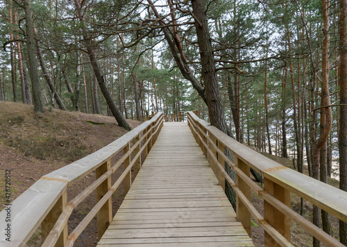 a wooden footbridge, pine forest, unspoken and cloudy winter day in nature © ANDA