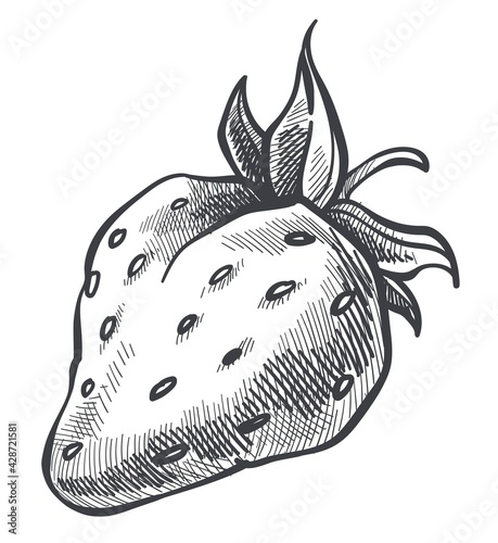 Strawberry ripe berry with leaf, harvested food