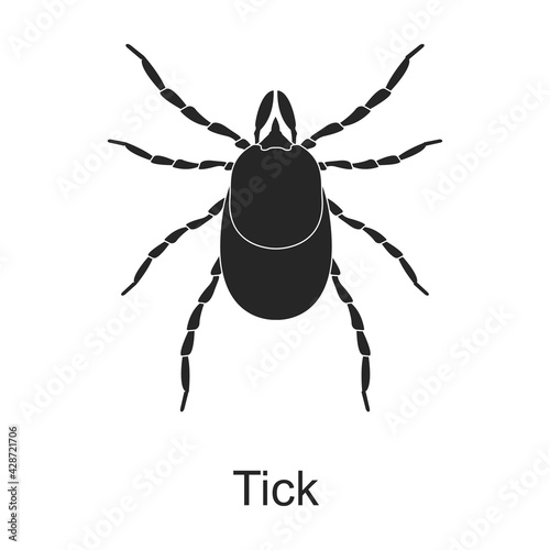 Tick vector black icon. Vector illustration pest insect tick on white background. Isolated black illustration icon of pest insect.