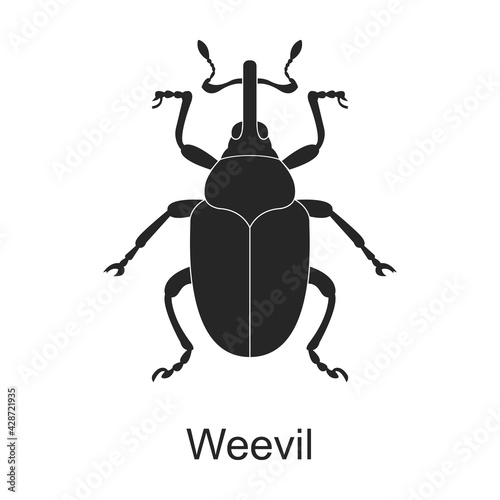 Weevil vector black icon. Vector illustration pest insect weevil on white background. Isolated black illustration icon of pest insect.